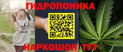 скорость Кимры