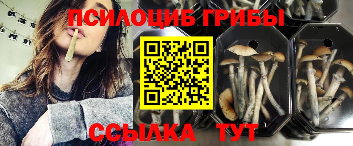 Псилоцибиновые грибы ЛСД Комсомольск-на-Амуре