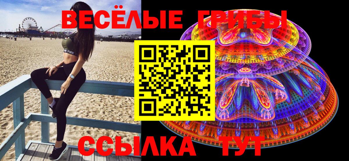 Комсомольск-на-Амуре  Псилоцибиновые грибы Psilocybe  Вход с VPN 